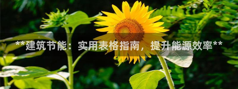 e尊国际娱乐官网地址：**建筑节能：实用表格指南，提升能源效率**