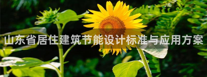 e尊体育：山东省居住建筑节能设计标准与应用方案