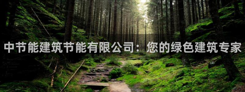 e尊国际客户端：中节能建筑节能有限公司：您的绿色建筑专家