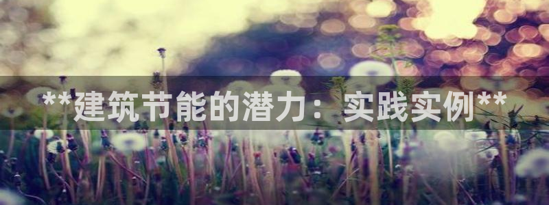 e尊电竞：**建筑节能的潜力：实践实例**