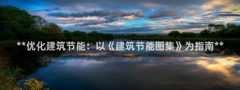 e尊国际app：**优化建筑节能：以《建筑节能图集》为指南**