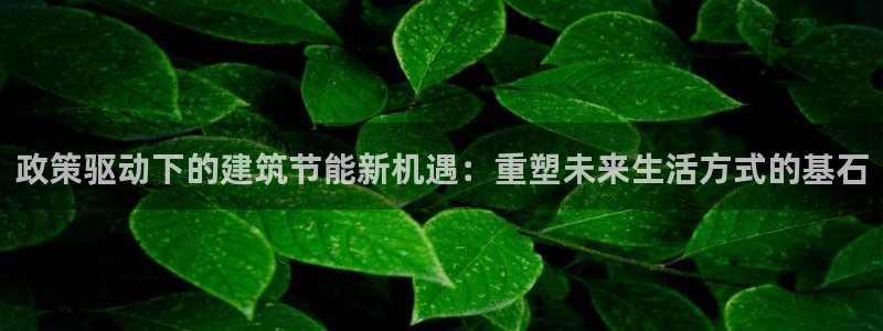 e尊国际是干什么的：政策驱动下的建筑节能新机遇：重塑未来生活方式的基石