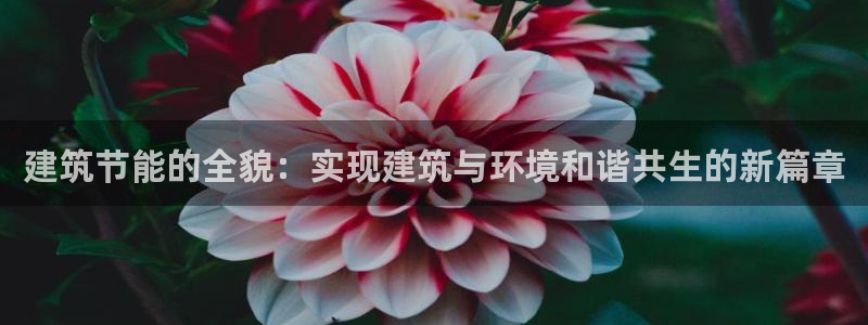 e尊平台：建筑节能的全貌：实现建筑与环境和谐共生的新篇章
