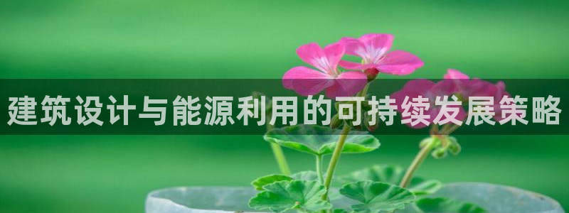 e尊国际平台：建筑设计与能源利用的可持续发展策略