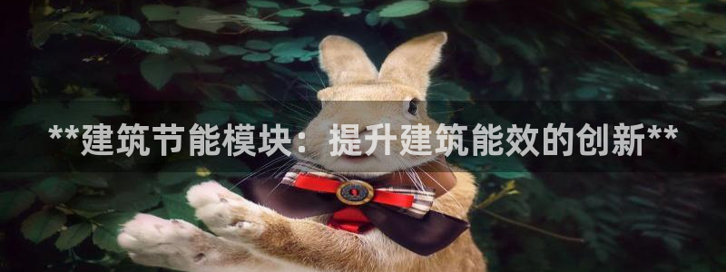 e尊国际地址：**建筑节能模块：提升建筑能效的创新**