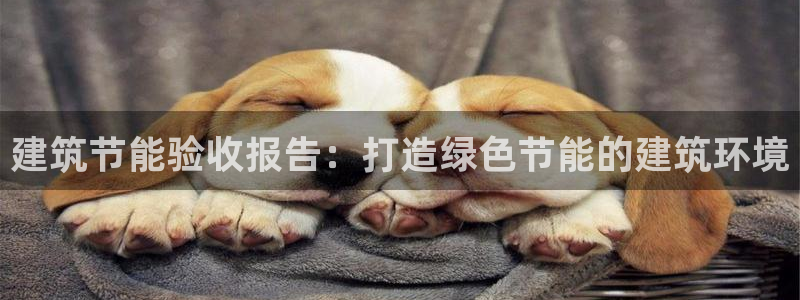 e尊国际官网·网址：建筑节能验收报告：打造绿色节能的建筑环境