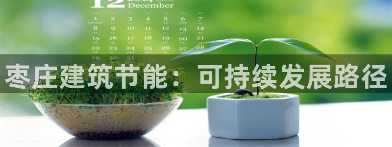 谁知道e尊国际的网址：枣庄建筑节能：可持续发展路径