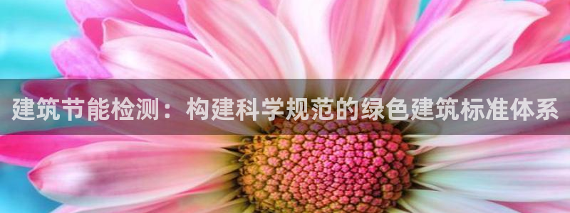 e尊国际官网：建筑节能检测：构建科学规范的绿色建筑标准体系