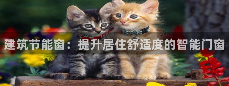 尊亿娱乐国际官网：建筑节能窗：提升居住舒适度的智能门窗