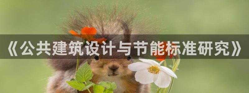 尊亿娱乐国际官网：《公共建筑设计与节能标准研究》