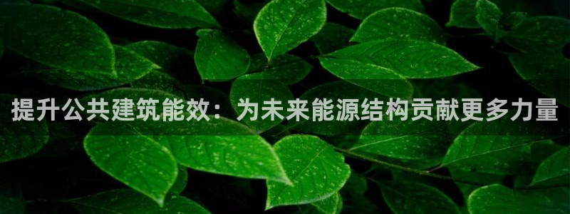 E尊国际网站：提升公共建筑能效：为未来能源结构贡献更多力量
