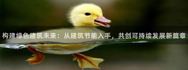 e尊国际是干什么的：构建绿色建筑未来：从建筑节能入手，共创可持续发展新篇章