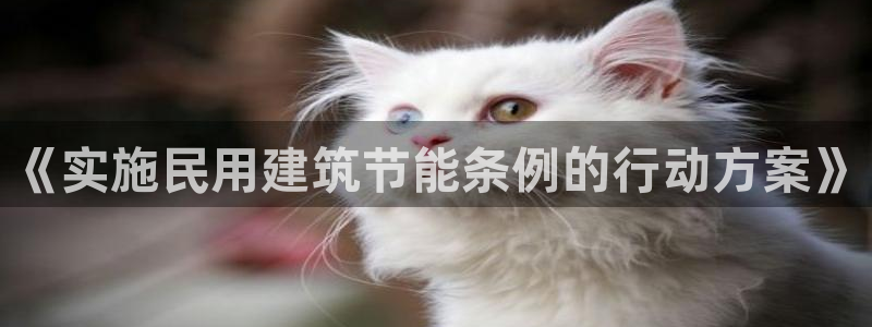 e尊国际官网：《实施民用建筑节能条例的行动方案》