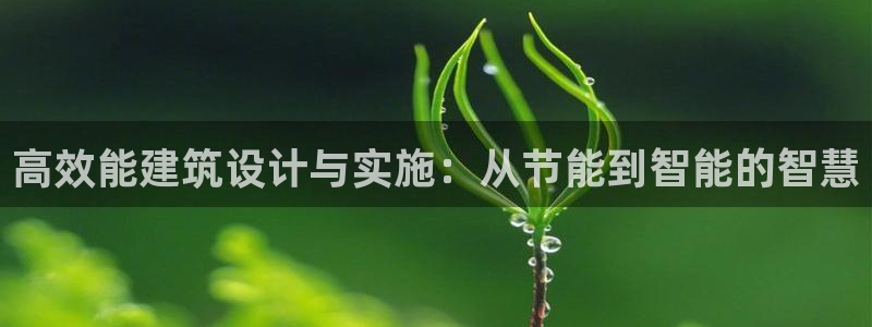 E尊国际网站：高效能建筑设计与实施：从节能到智能的智慧