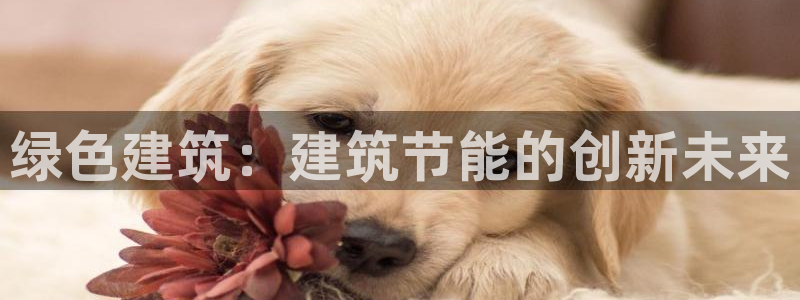 e尊国际可靠吗：绿色建筑：建筑节能的创新未来
