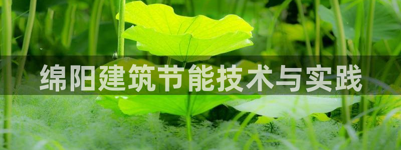 e尊国际网址：绵阳建筑节能技术与实践