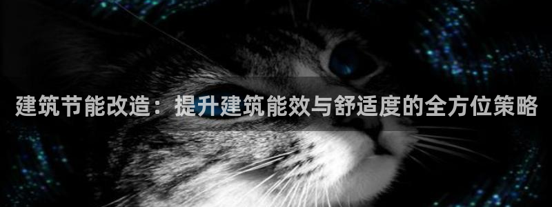 E尊国际：建筑节能改造：提升建筑能效与舒适度的全方位策略