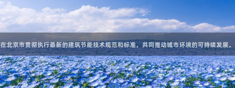 e尊国际app：在北京市贯彻执行最新的建筑节能技术规范和标准，共同推动城市环境的可持续发展。