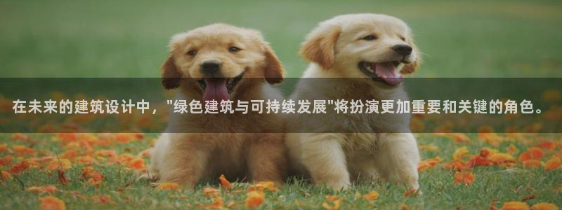 E尊国际网站：在未来的建筑设计中，\