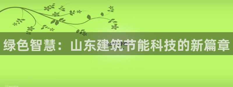 e尊国际是干什么的：绿色智慧：山东建筑节能科技的新篇章