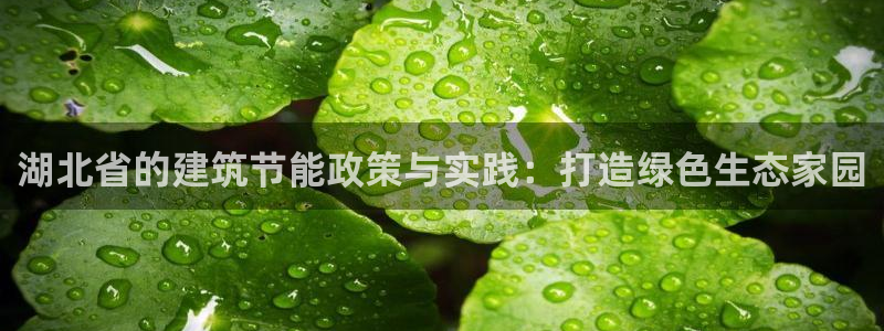 e尊国际-e尊国际官网：湖北省的建筑节能政策与实践：打造绿色生态家园