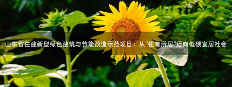 e尊国际客服：山东省在建新型绿色建筑与节能改造示范项目：从\