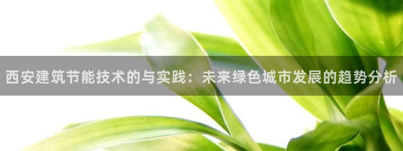 e尊国际平台