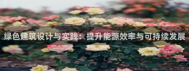 e尊国际-e尊国际官网：绿色建筑设计与实践：提升能源效率与可持续发展