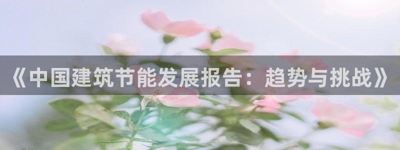 e尊体育：《中国建筑节能发展报告：趋势与挑战》