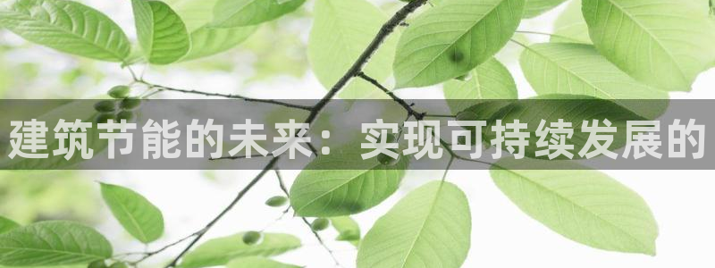 e尊国际网址：建筑节能的未来：实现可持续发展的