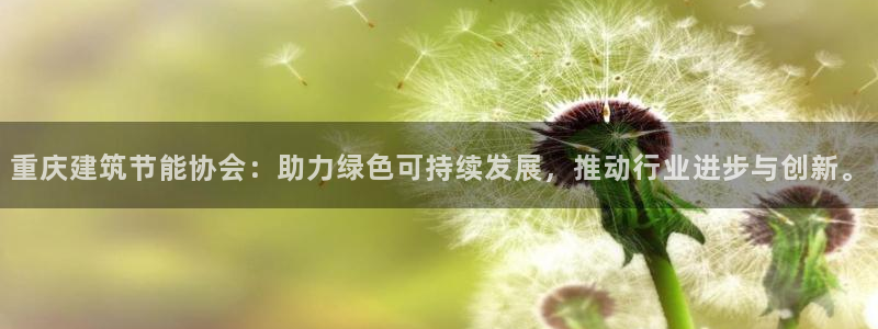 e尊国际的手机登录网站：重庆建筑节能协会：助力绿色可持续发展，推动行业进步与创新。