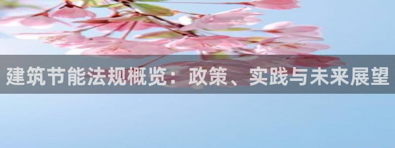 e尊国际是个黑网：建筑节能法规概览：政策、实践与未来展望