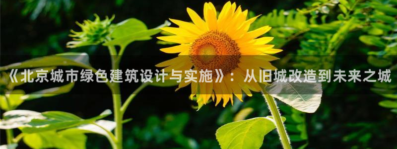尊亿游戏国际官网：《北京城市绿色建筑设计与实施》：从旧城改造到未来之城
