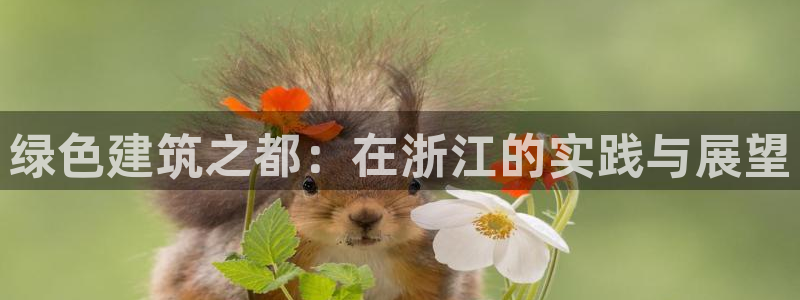 e尊官网：绿色建筑之都：在浙江的实践与展望