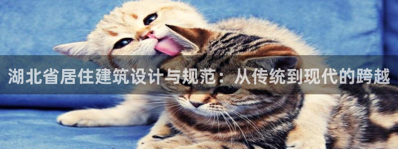 e尊国际-e尊国际官网：湖北省居住建筑设计与规范：从传统到现代的跨越