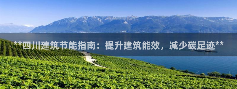 e尊国际可靠吗：**四川建筑节能指南：提升建筑能效，减少碳足迹**