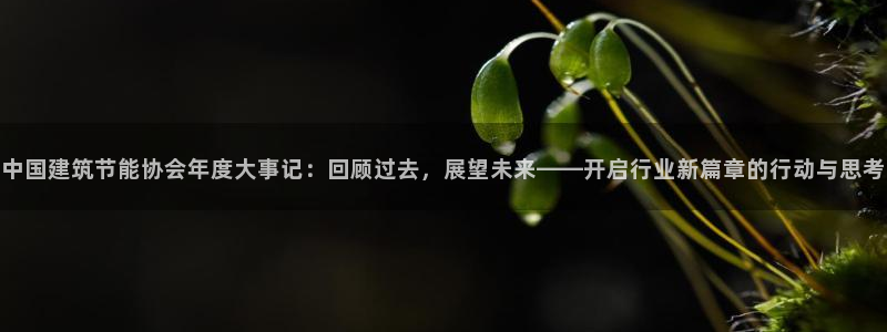 e尊国际是个黑网