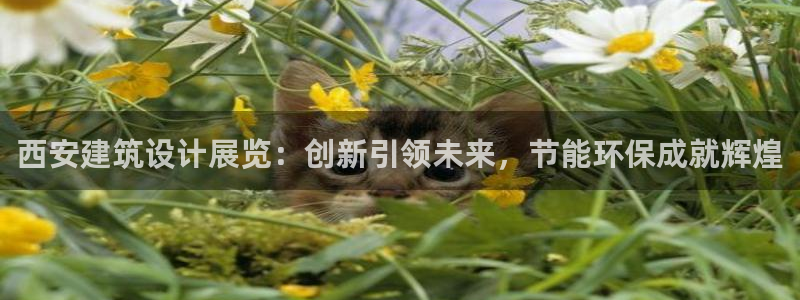 E尊国际：西安建筑设计展览：创新引领未来，节能环保成就辉煌