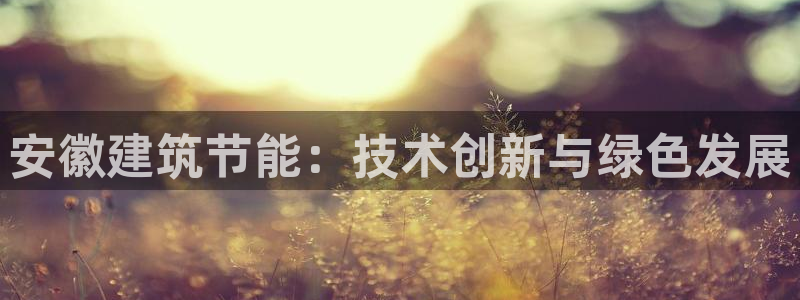 e尊体育：安徽建筑节能：技术创新与绿色发展