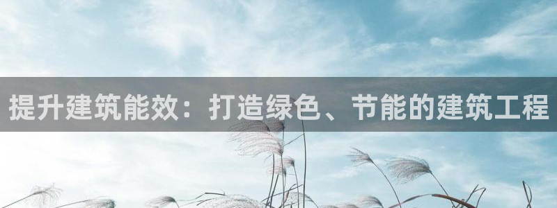 e尊国际娱乐官网地址：提升建筑能效：打造绿色、节能的建筑工程