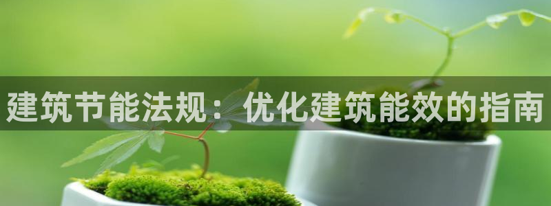 e尊国际-e尊国际官网：建筑节能法规：优化建筑能效的指南