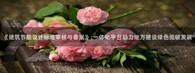 e尊国际官网app：《建筑节能设计标准审核与备案》:一体化平台助力地方建设绿色低碳发展