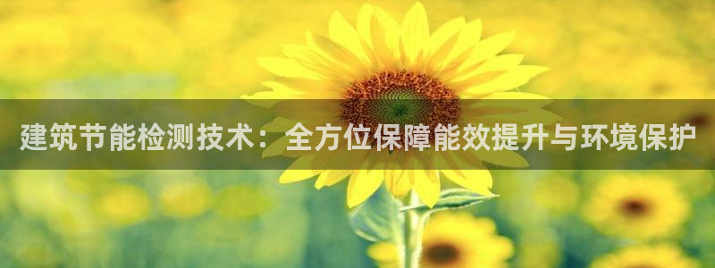 e尊国际官网：建筑节能检测技术：全方位保障能效提升与环境保护