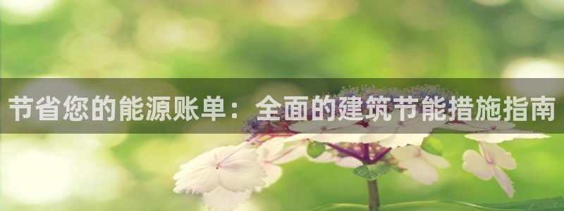 e尊国际官网·网址：节省您的能源账单：全面的建筑节能措施指南