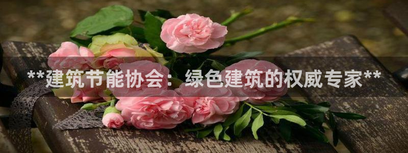 e尊电竞：**建筑节能协会：绿色建筑的权威专家**