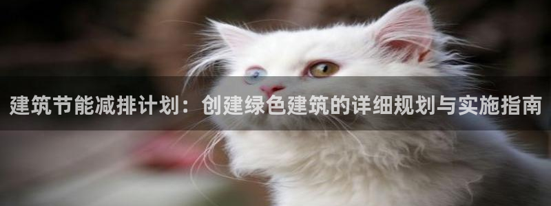 e尊国际地址：建筑节能减排计划：创建绿色建筑的详细规划与实施指南