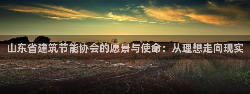 尊亿娱乐国际官网：山东省建筑节能协会的愿景与使命：从理想走向现实