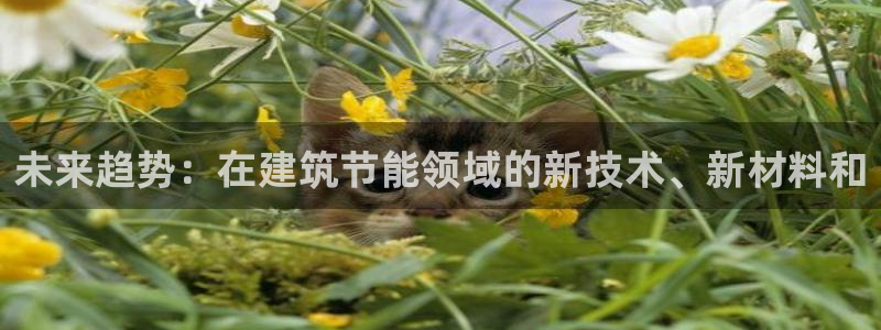 e尊国际是个黑网：未来趋势：在建筑节能领域的新技术、新材料和