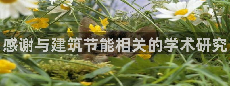 e尊国际官方网站