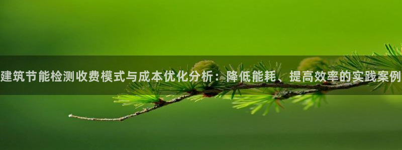 e尊国际-e尊国际官网：建筑节能检测收费模式与成本优化分析：降低能耗、提高效率的实践案例